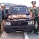<h1 style="font-size: 12px">Caccia in Sardegna: Report di una giornata di caccia al coniglio di nostri due fedeli lettori Alessandro e Raffaele da Sedilo (OR), nella nostra Amata Sardegna..</h1>